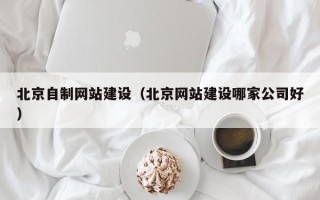 忻州北京自制网站建设（北京网站建设哪家公司好）
