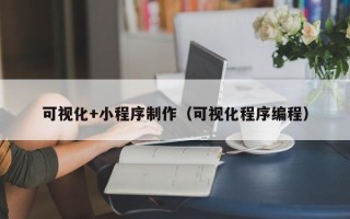 忻州可视化+小程序制作（可视化程序编程）